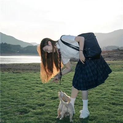 猫头鹰与麻雀